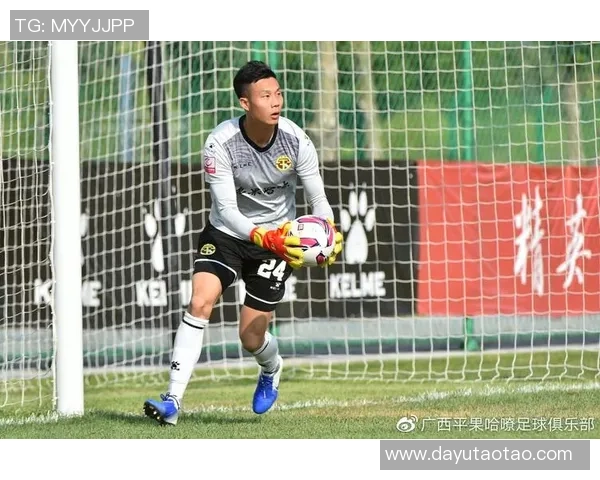 杨姓足球球星的精彩表现与成就解析以及他们在国内外赛场的影响力